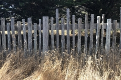 Fences