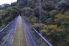 Footbridge, Monteverde