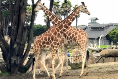 2017-08-19_15-33-04_283