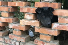 2017-12-25_17-52-50_270