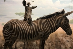 2018-04-01_15-20-52_606