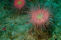 016083a479abcf1345d194acaa07c9933b5157ade3