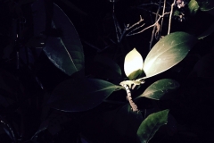 01ce36f8b1c333e9844ab0c4f60b294df88ed74be2