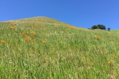 01ceee70f21a934fe35698ddbe4e5124d82104b5ed