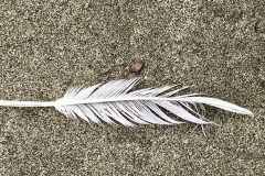 Feather I