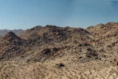 Joshua Tree Panorama
