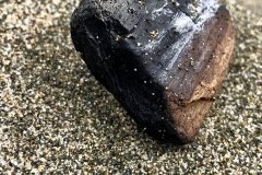 Beach bonfire remains