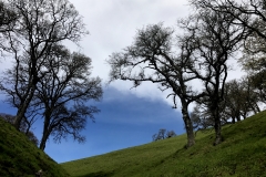 Shell Ridge trail notch